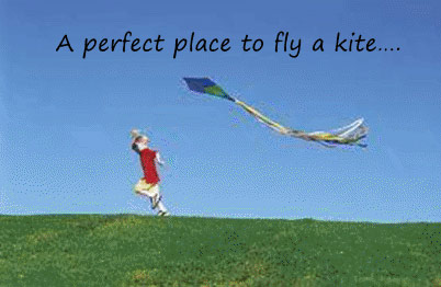 Kite flying at the park